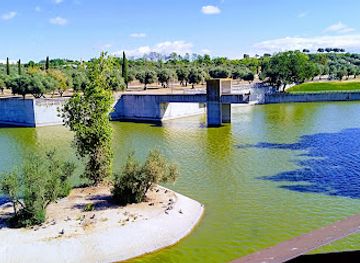 spain/madrid-community/attraction/jardin-de-las-tres-culturas