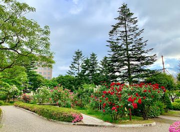 japan/aomori/attraction/aoimori-park