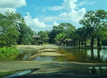 thailand/similan-islands/attraction/supaporn-elephant-camp