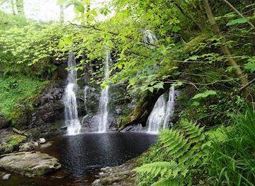 united-kingdom/giant's-causeway/attraction/glenariff-forest