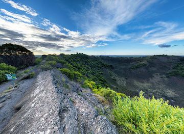 australia/limestone-coast/attraction/mount-schank-state-heritage-area