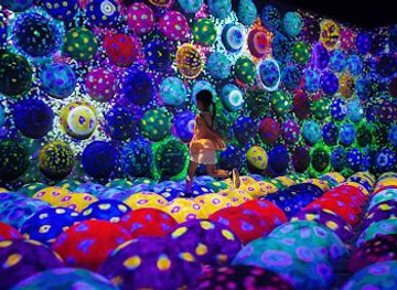 japan/chikuzen/attraction/teamlab-forest-fukuoka