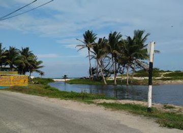 barbados/oistins/attraction/silver-sands