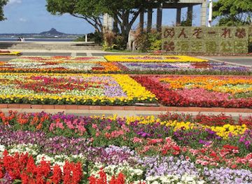 japan/oki/attraction/ocean-expo-park-tropical-subtropical-arboretum-greenery-kingdom