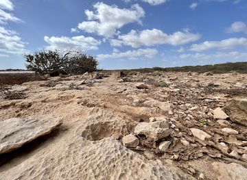 cabo-verde/praia-de-chaves/attraction/praia-de-joao-barrosa