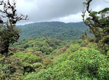 costa-rica/monteverde-cloud-forest-biological-reserve/attraction/treetopia-park-monteverde