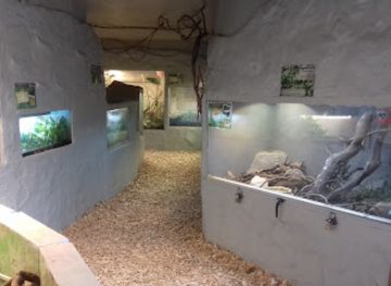 ireland/county-kilkenny/attraction/the-national-reptile-zoo