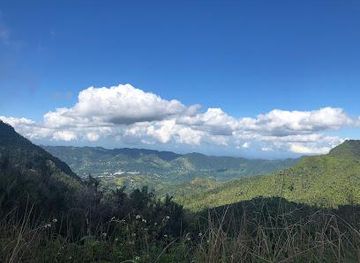 puerto-rico/dorado/attraction/bosque-estatal-toro-negro