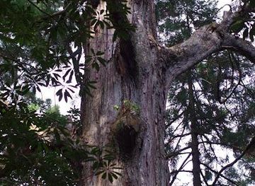 japan/fukuoka/attraction/toho-village