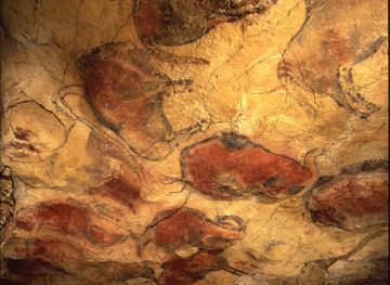 spain/cantabria/attraction/national-museum-and-research-center-of-altamira