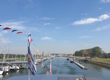 netherlands/zeeland/attraction/zeehondenbank