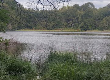 argentina/villa-la-angostura/attraction/arrayan-del-amor