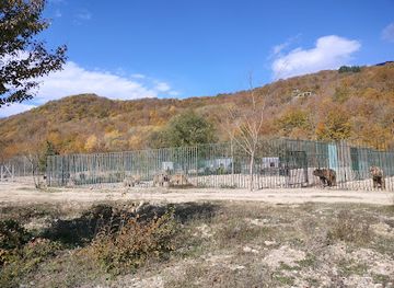 georgia/meskheti/attraction/sabaduri-forest
