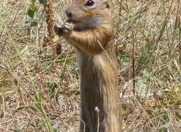 hungary/sopron/attraction/romersteinbruch