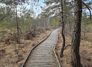 austria/innviertel/attraction/ibmer-moor