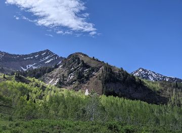 utah/uinta-wasatch-cache-national-forest/attraction/shingle-mill-peak