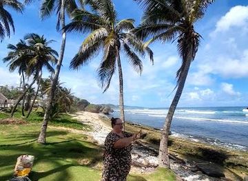 barbados/crane/attraction/bathsheba