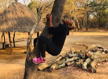 zambia/lusaka-national-park/attraction/red-container-lusaka-east-forest-reserve