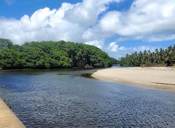 trinidad-and-tobago/siparia/attraction/nariva-swamp