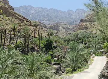 Al Fara’a