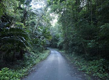 barbados/hastings/attraction/russia-gully
