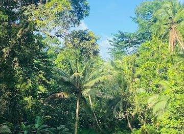 fiji/lomaiviti-islands/attraction/waterfall-rest-stop