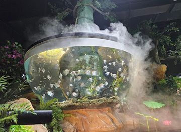 south-korea/daejeon/attraction/daejeon-expo-aquarium