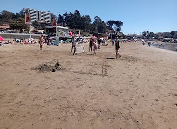 chile/valparaiso-region/attraction/playa-el-abanico