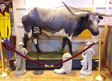 alabama/coosa-valley/attraction/the-mooseum