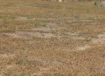 ghana/north-east-region/attraction/odupongkpehe-park