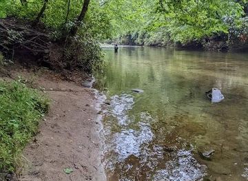 north-carolina/asheville/attraction/pisgah-forest