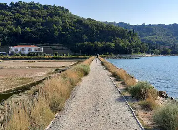 Strunjan Roje