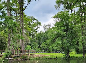 florida/fakahatchee-strand-preserve-state-park/attraction/florida-caverns-state-park