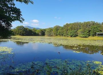 australia/cairns/attraction/cairns-cattana-wetlands