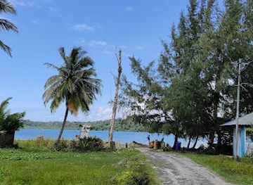 india/andaman-islands/attraction/wandoor-beach-andaman