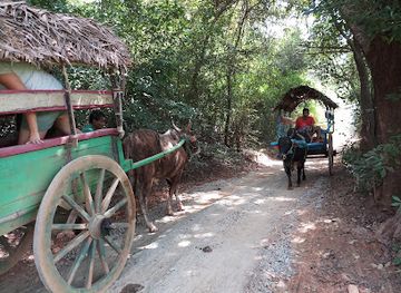sri-lanka/sigiriya/attraction/minneriya-kaudulla-elephants-village-safari-from-sigiriya