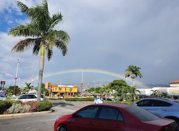 jamaica/kingston/attraction/veena-la-vida-business-wellness-adventure