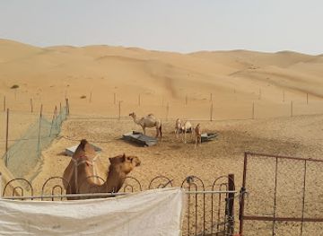 united-arab-emirates/liwa-oasis/attraction/liwa-dates-festival