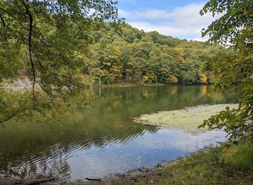 new-york/catskill-mountains/attraction/esopus-bend-nature-preserve