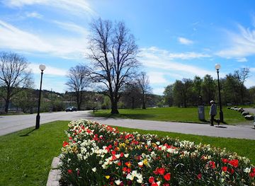 sweden/gothenburg/haga/attraction/slottsskogen