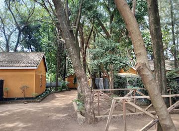 kenya/lake-victoria/attraction/mamba-village-kisumu