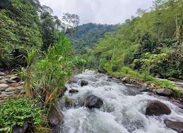colombia/manizales/attraction/barbas-bremen