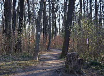 czechia/central-bohemia/attraction/bazantnice-v-satalicich