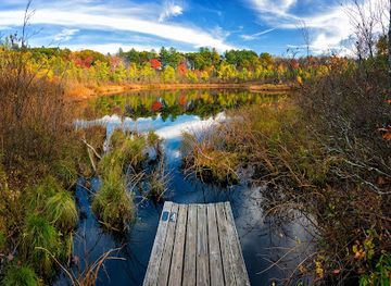 massachusetts/metrowest/attraction/charles-w-ward-reservation