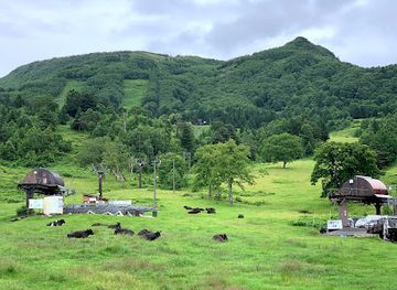 japan/mikawa/attraction/yamaboku-wild-snow-park