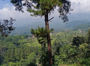 indonesia/east-java/attraction/tanaria-park