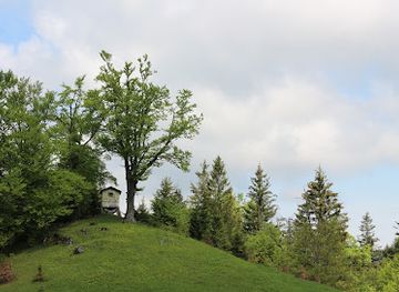 slovakia/velka-fatra-national-park/attraction/kosariska-buda