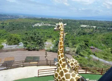 philippines/cagayan-de-oro/bugo/attraction/noah-s-ark