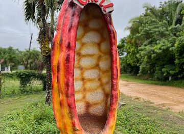 belize/hopkins/attraction/che-il-mayan-chocolate