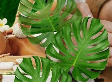 costa-rica/monteverde/attraction/arenal-natural-spa